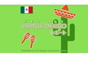 FX「7月は円主導の動きで上下に振れる。メキシコ経済は依然強い」メキシコペソ見通し