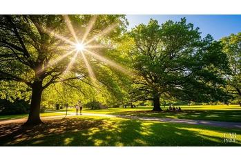 【危険】紫外線を防ぐためには？