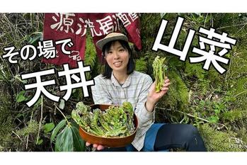 限定クーポン配布中【渓流釣り女子の1日】タラノメ、コシアブラ！ADO Air20 Proに乗って山菜をとって天丼を作る！