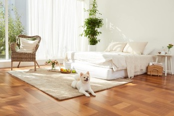 不動産投資でペット可物件の需要はある？ メリット・デメリットを解説