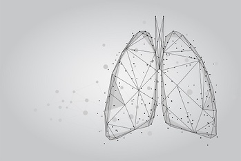 呼吸,人体,イラスト