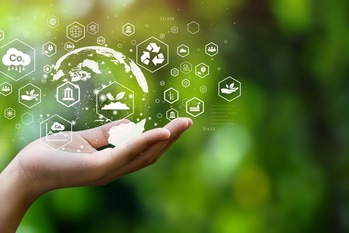 TNFD（自然関連財務情報開示タスクフォース）最終提言の概要と対応ポイント