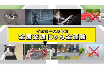 猫と徹底討論？！イエローハット　猫の本音を聞いて安全に暮らせるクルマ社会を目指す