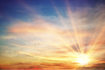 樹木希林,生き方