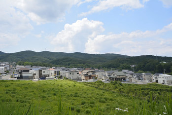 ベッドタウン,スポンジ化