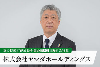 株式会社ヤマダホールディングス