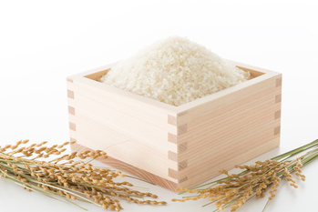 6月, 株主, 優待