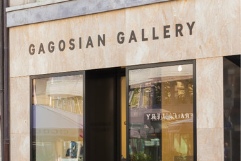 メガギャラリー,楽しみ方