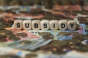 subsidy