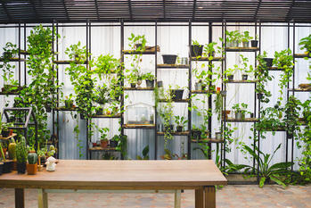 害虫対策,新築,マイホーム