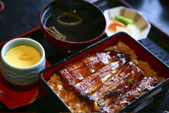 うなぎ,蒲焼,かば焼き