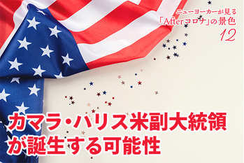 アメリカ大統領選挙,2020