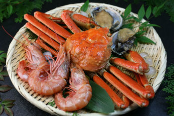 ふるさと納税,税額控除