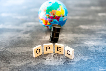 OPEC,定時総会
