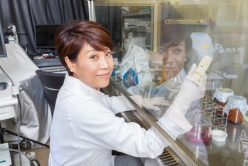 ナノエッグ,山口葉子