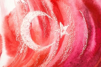 トルコ国旗の図