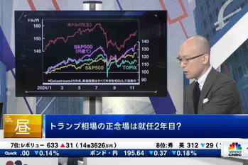 マーケット関係者解説（2024年11月19日）