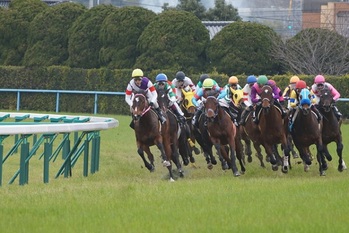 公営ギャンプル,競馬,競艇
