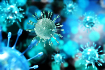 日本,春節,リスク