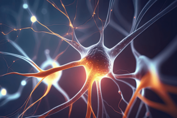 脳の神経細胞は、わがままで、ぜいたく