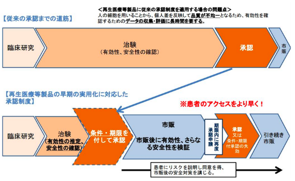 早期承認制度概要