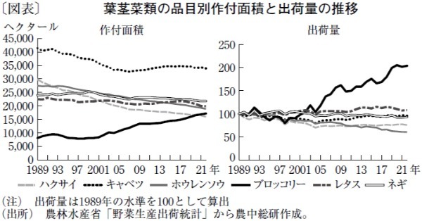 急伸するブロッコリーの作付面積と出荷量