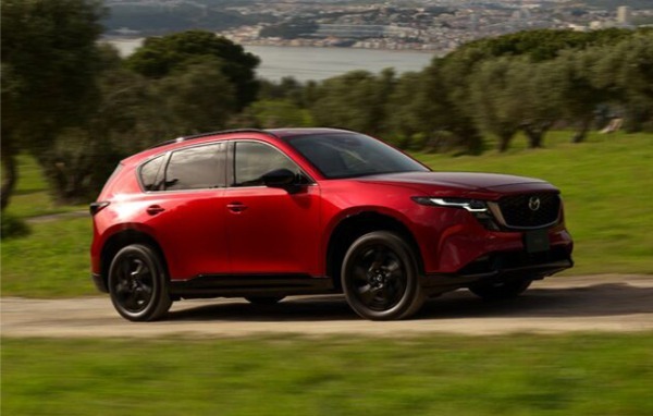 トヨタ・ライズが12カ月連続でSUV販売首位。RAV４が２位にランクアップ（26年7月の軽自動車を含むSUV車販売登録ランキングTOP20）