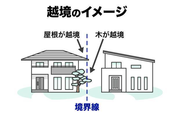 越境・越境物とは？原因やリスク、対処法と売却時の注意点まで解説