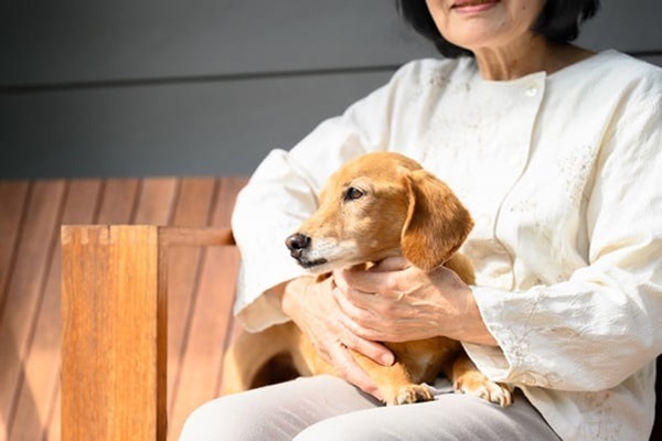 飼い主の万が一に備えて。残されるペットのために今からできること