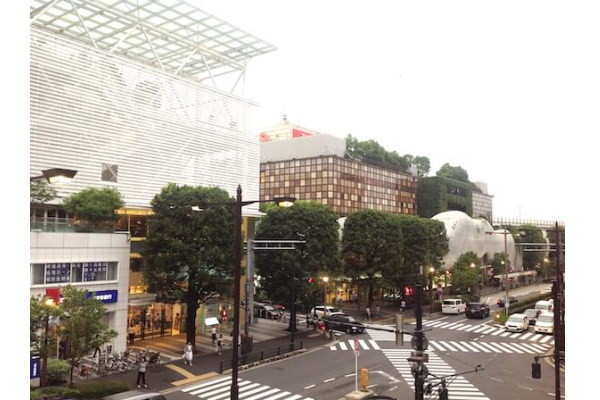 髙島屋、3〜11月期は減収減益も純利益14％増　免税売上は19％減