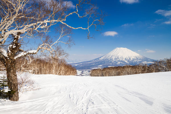 skiing