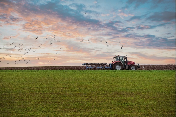 儲かる農家の強化書 年収1000万円以上稼ぐ経営戦略
