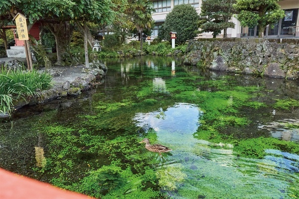 【ニッポンの優食 富士宮編】地元名産ブランド豚”LYB豚(ルイビブタ)”を求めてトヨタ・クラウン・エステートで富士山麓ドライブ