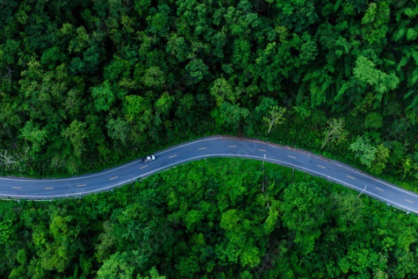 ESG投資・サステナビリティをイメージした森林と道路の航空写真