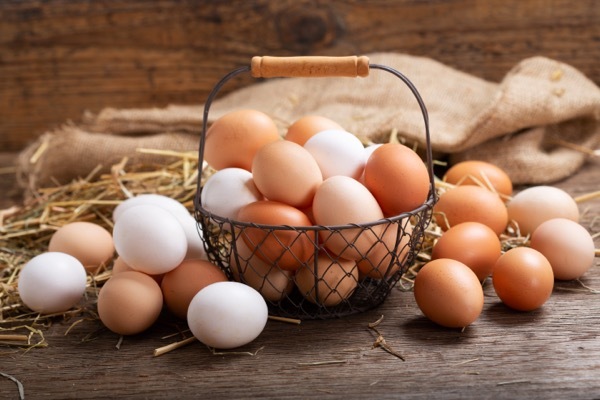 高騰が続いた鶏卵価格に下落の兆し