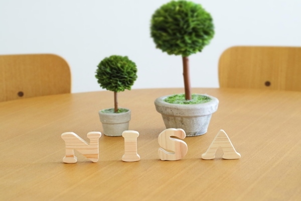 NISA