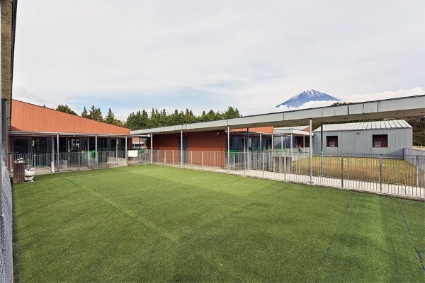 【ニッポンの優食 富士宮編】地元名産ブランド豚”LYB豚(ルイビブタ)”を求めてトヨタ・クラウン・エステートで富士山麓ドライブ