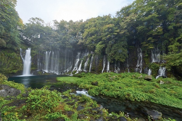 【ニッポンの優食 富士宮編】地元名産ブランド豚”LYB豚(ルイビブタ)”を求めてトヨタ・クラウン・エステートで富士山麓ドライブ
