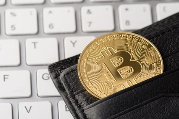 米タンパ市長、マイアミ市などに続きビットコインでの給与受け取りに意欲を示す