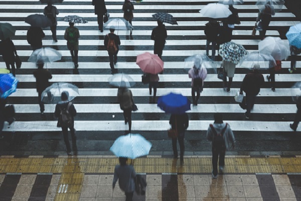 長雨関連銘柄