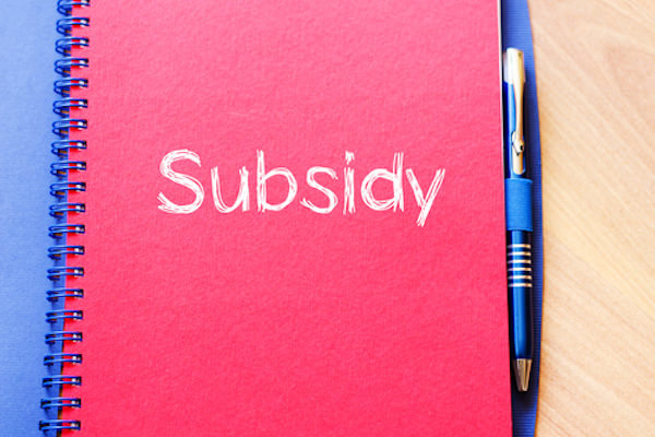 Subsidy
