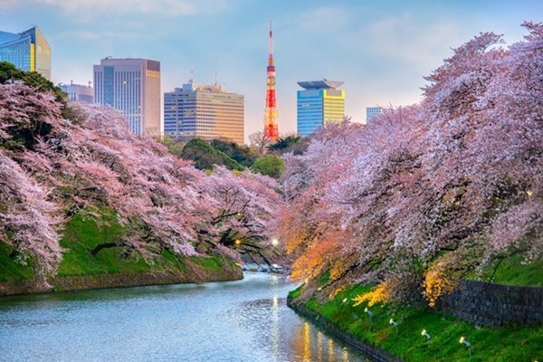 東京,オススメ,ランニングコース