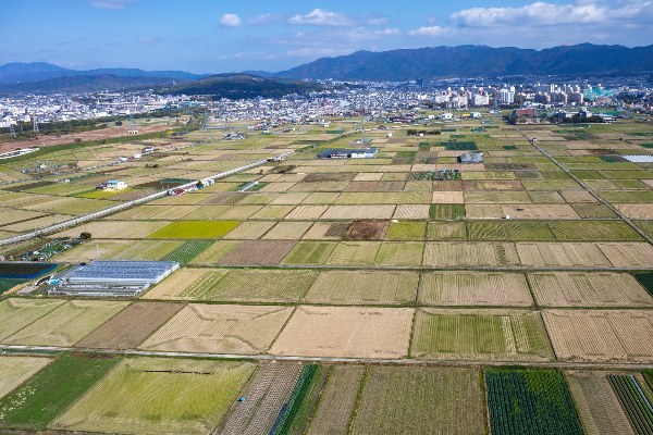 市街化調整区域は買わない方がいい？メリット・デメリットを解説