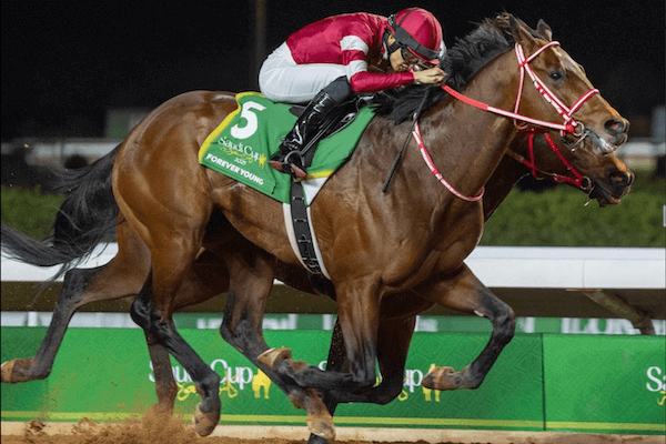 サイバーエージェントの藤田晋氏が馬主登録からたった４年で世界最高賞金レース「サウジカップ」を制覇