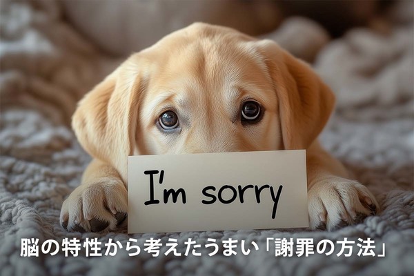 脳の特性から考えたうまい「謝罪の方法」