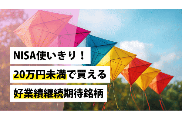 NISA使いきり！20万円未満で買える好業績継続期待銘柄