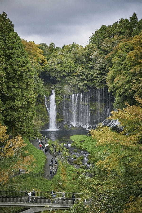 【ニッポンの優食 富士宮編】地元名産ブランド豚”LYB豚(ルイビブタ)”を求めてトヨタ・クラウン・エステートで富士山麓ドライブ