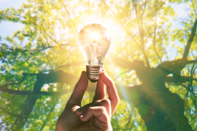 bulb