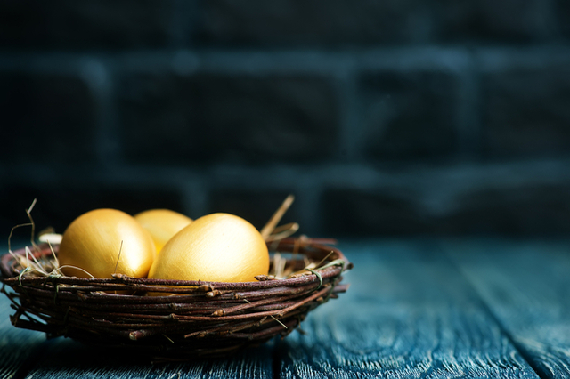(写真=Gayvoronskaya_Yana/Shutterstock.com)