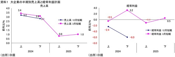 第一生命経済研究所